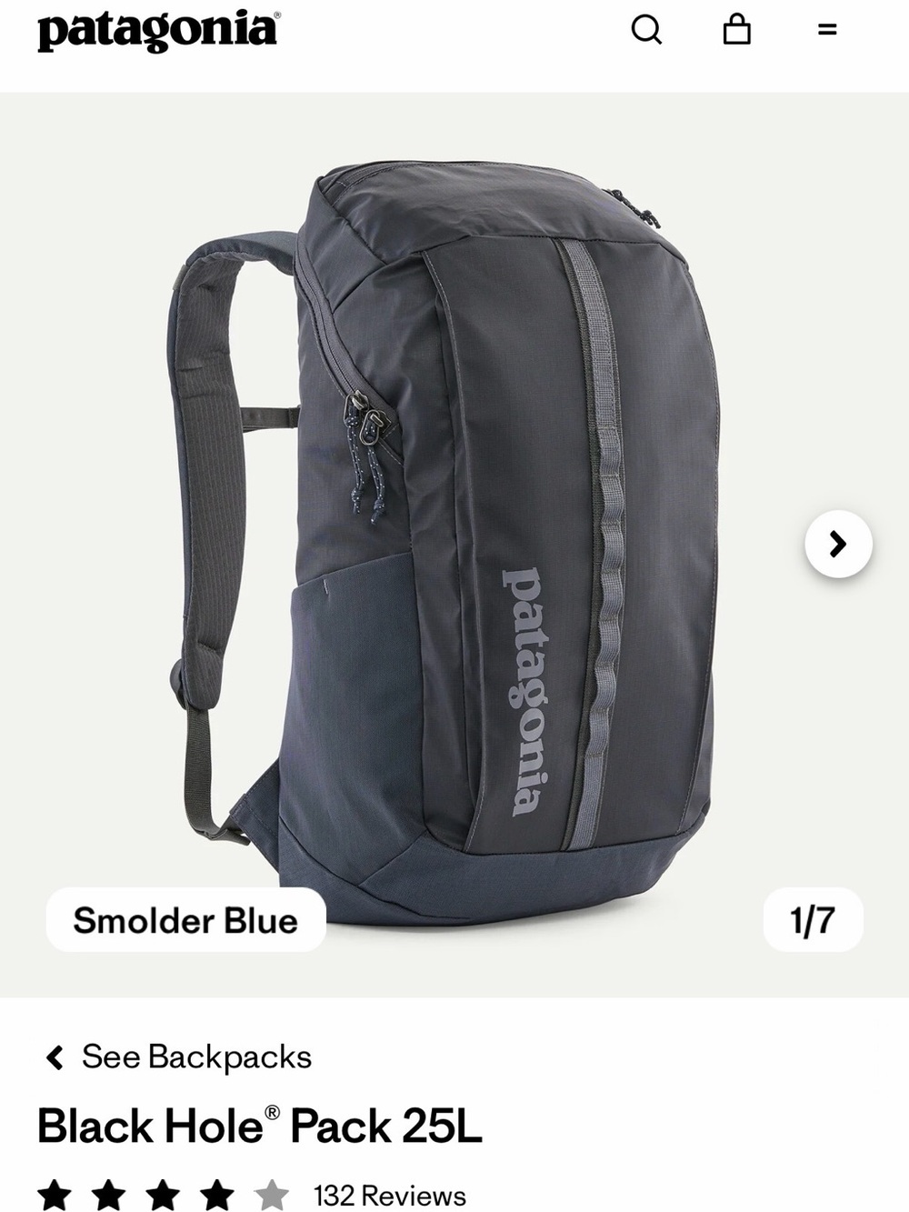 NWT Patagonia Black Hole Pack 25L - Smolder Blue